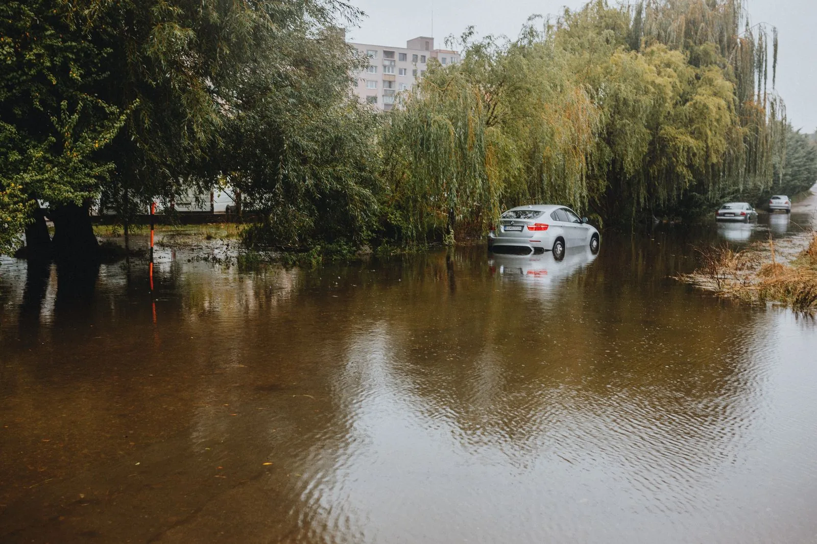 Cars stranded on a flooded road surrounded by trees