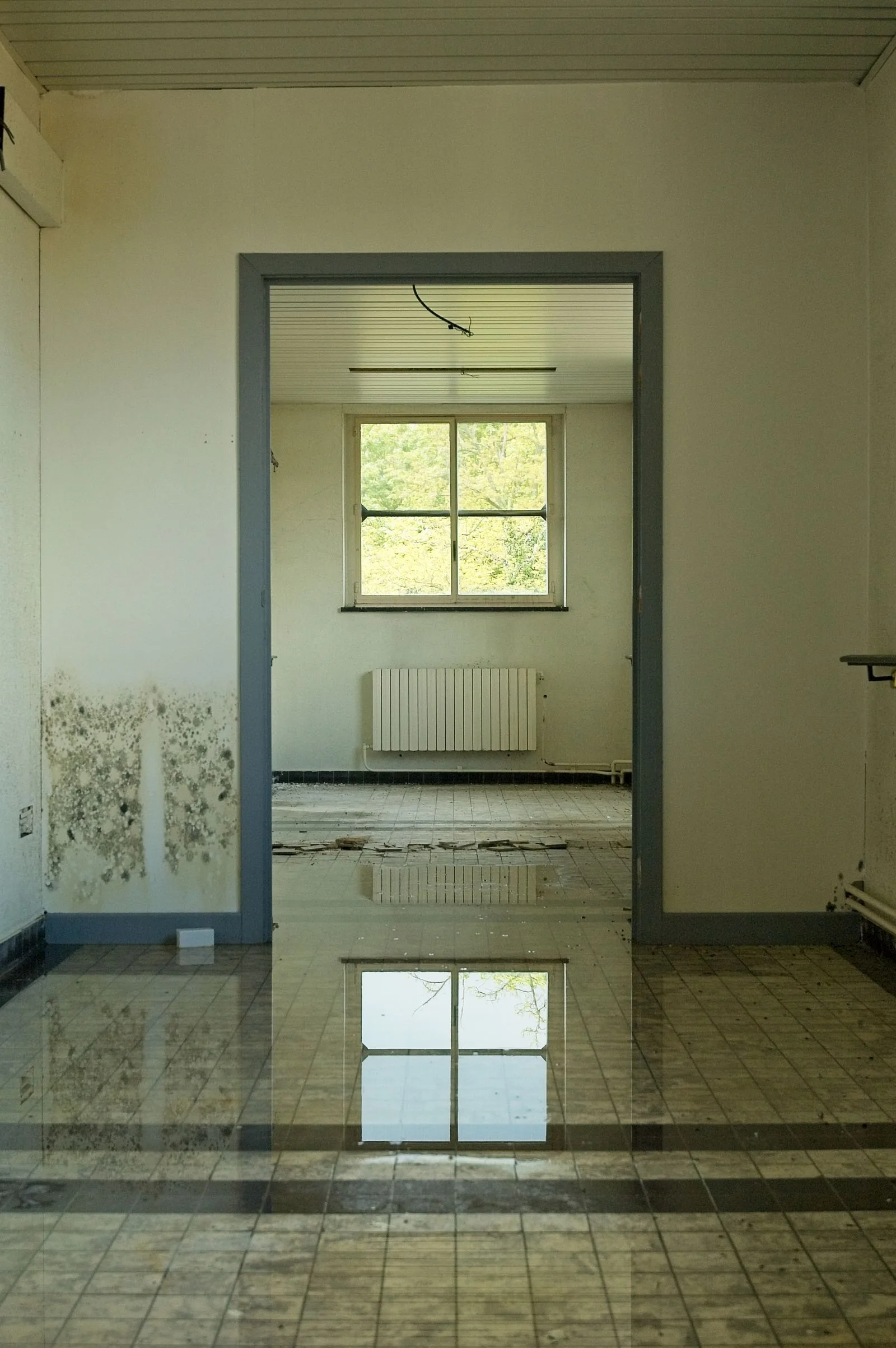 Standing water covering the floor of an empty indoor room