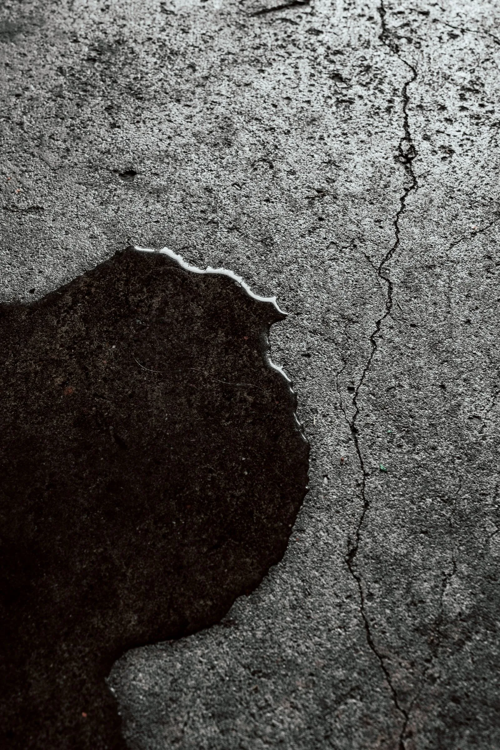 Close-up of a wet, cracked concrete surface
